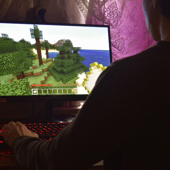 En computerskærm viser en scene fra Minecraft, men man ser skulderen og ryggen af en person, men hånden på et gamer-tastatur
